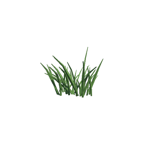 Grass 06